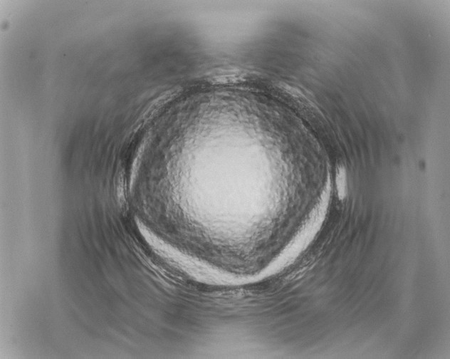 X0000070231444200606161720