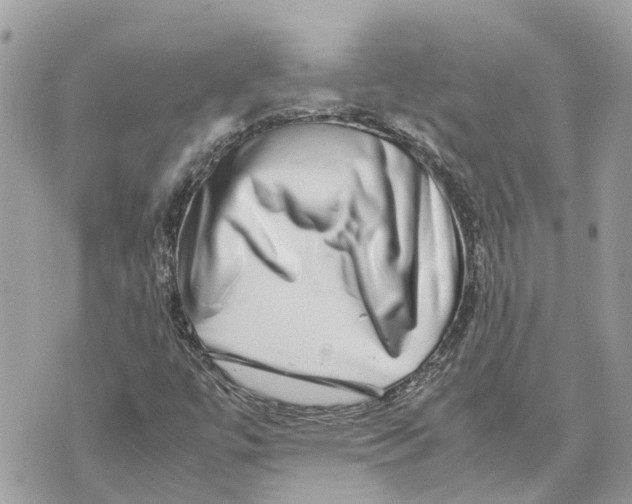X0000070231447200606161720