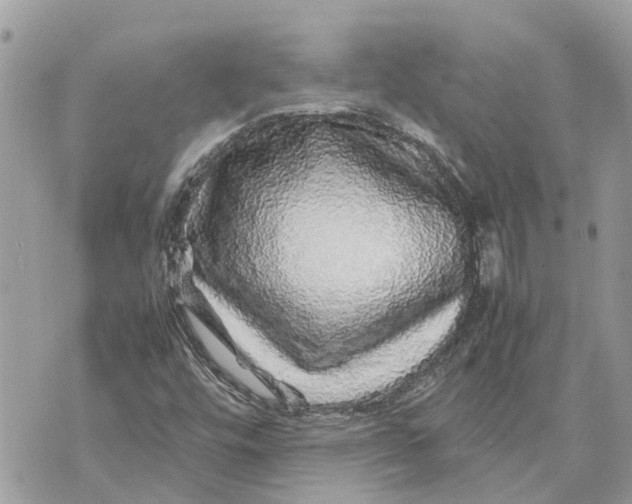 X0000070231448200606161720