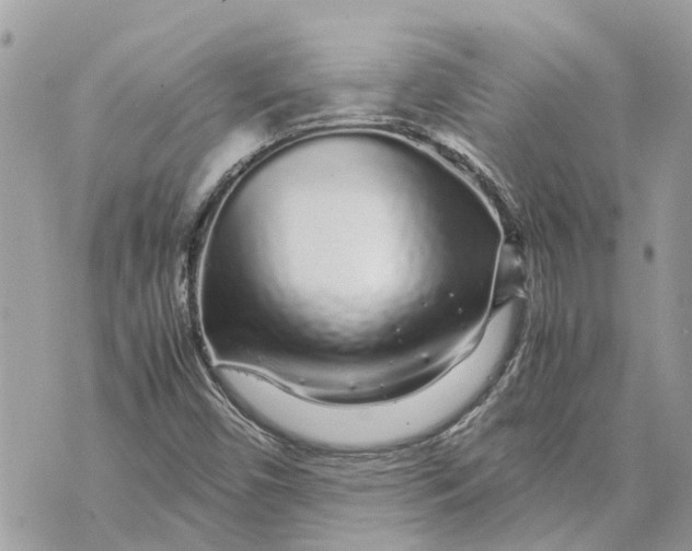 X0000070231450200606161720