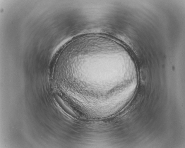 X0000070231452200606161720