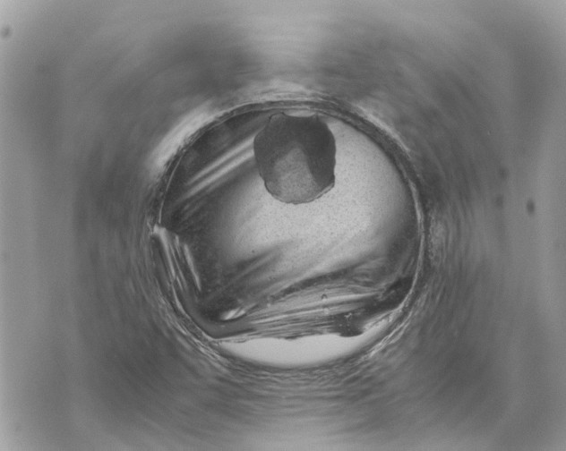 X0000070231455200606161720