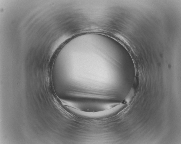 X0000070231458200606161720