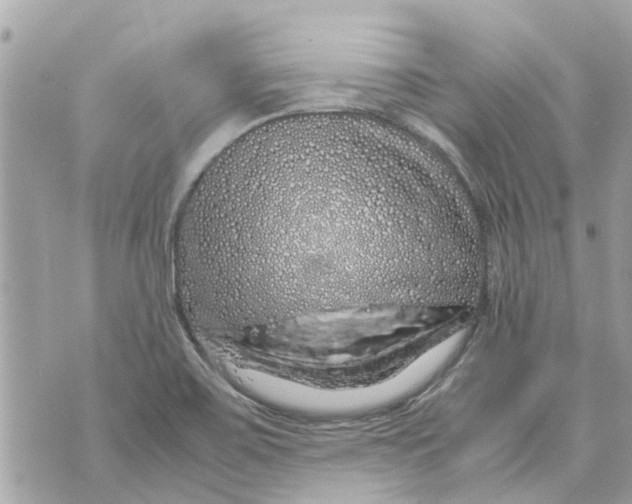 X0000070231467200606161720