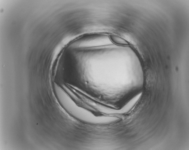 X0000070231472200606161720