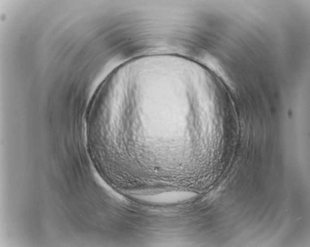 X0000070231476200606161720