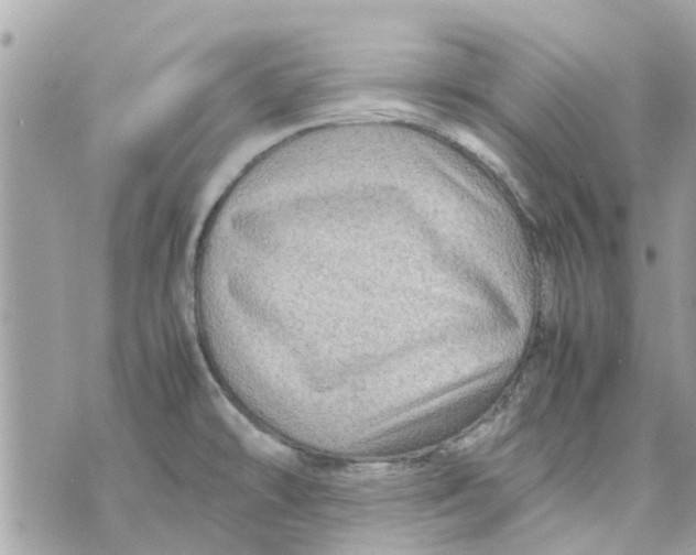 X0000070231478200606161720