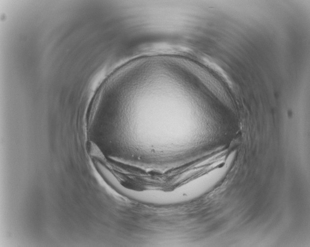 X0000070231479200606161720