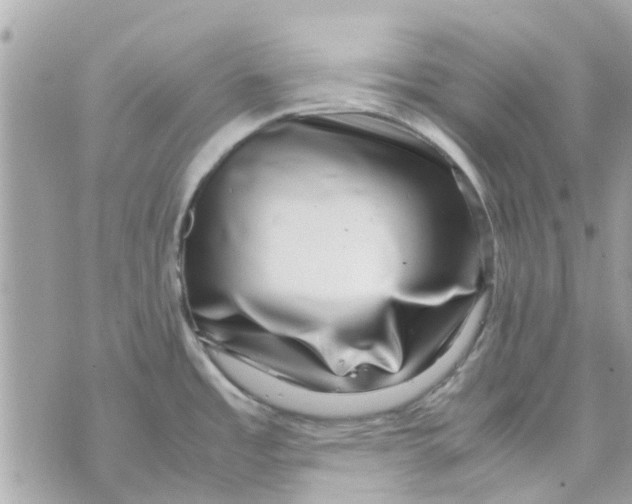 X0000070231485200606161720