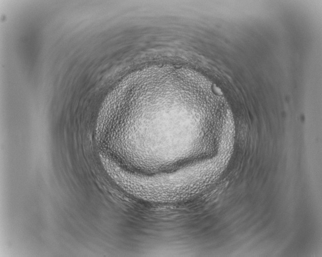 X0000070231489200606161719