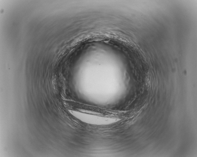 X0000070231490200606161719