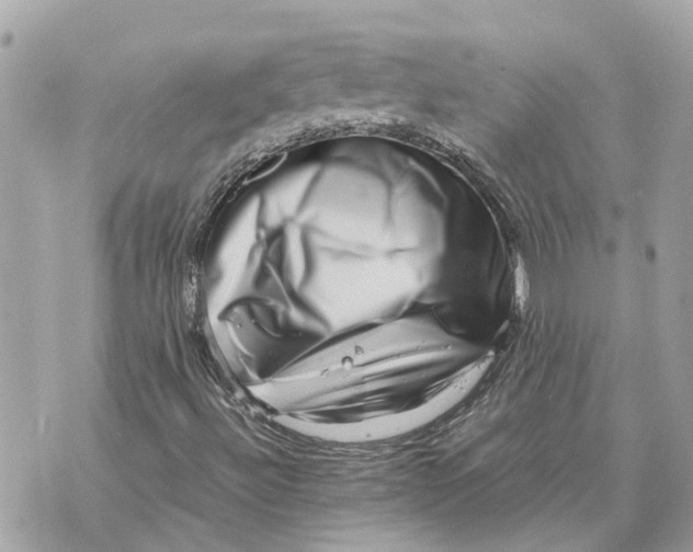 X0000070231492200606161719