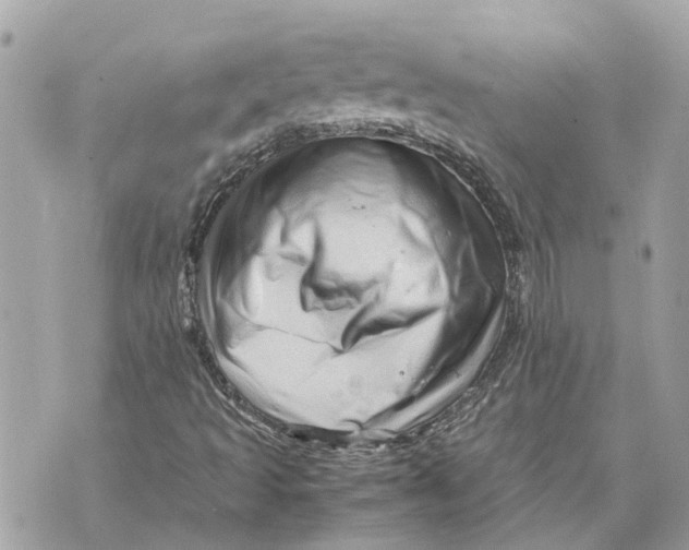 X0000070231493200606161719