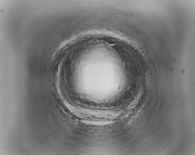 X0000070231494200606161719