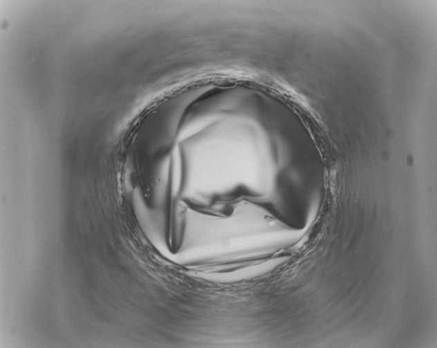 X0000070231496200606161719