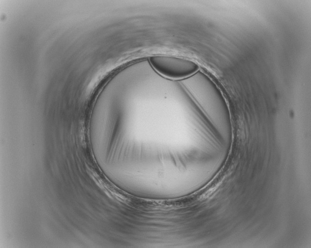 X0000070231499200606161719