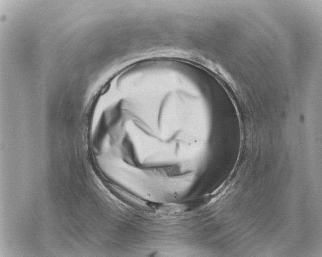 X0000070231504200606161719