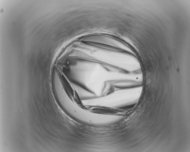 X0000070231508200606161719