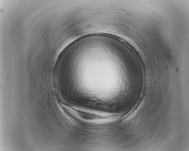 X0000070231513200606161719