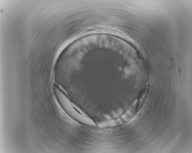 X0000070231522200606161719