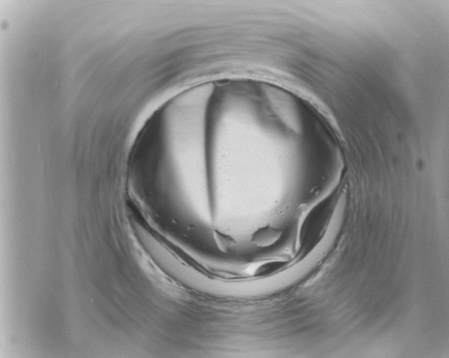 X0000070231530200606161720