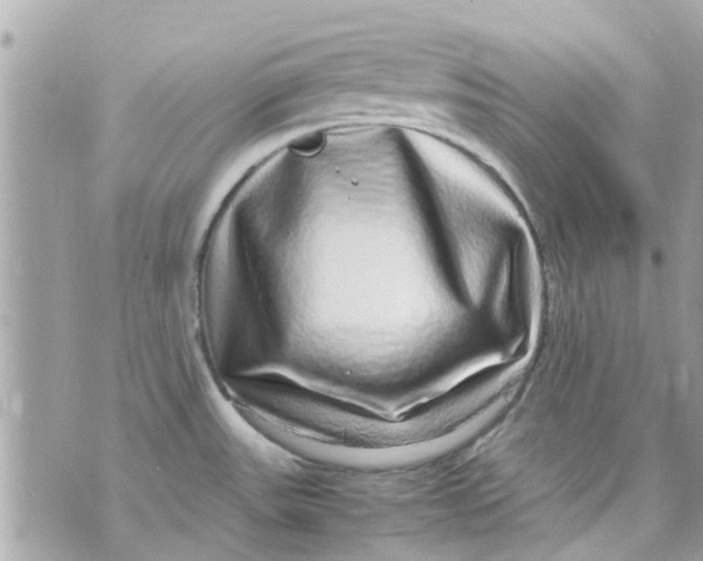 X0000070231531200606161720