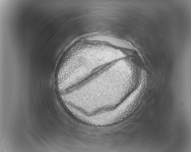 X0000070230002200606232209