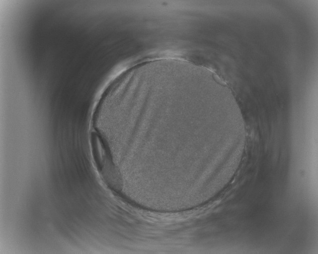 X0000070230006200606232209
