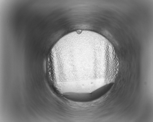 X0000070230014200606232209
