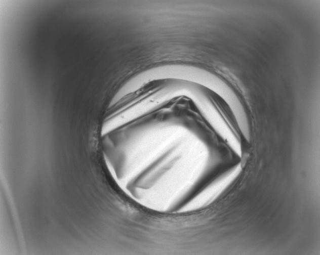 X0000070230017200606232209