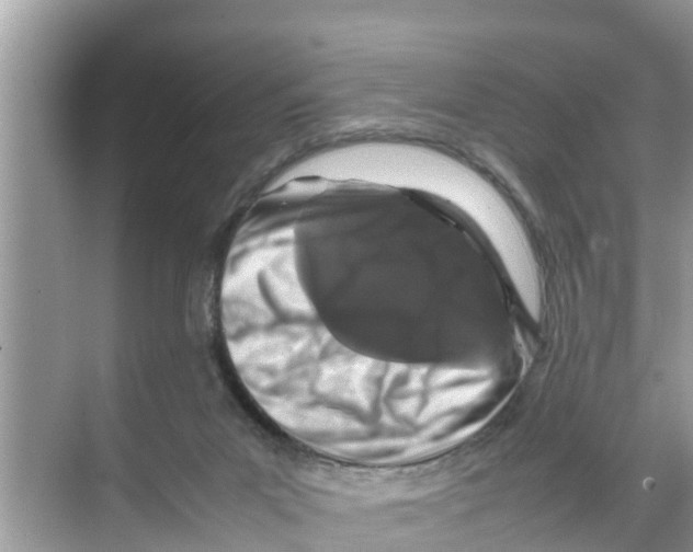 X0000070230023200606232209