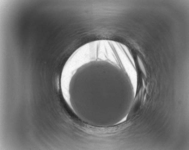 X0000070230027200606232209