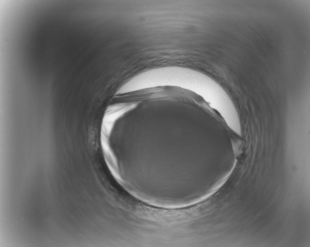 X0000070230031200606232208