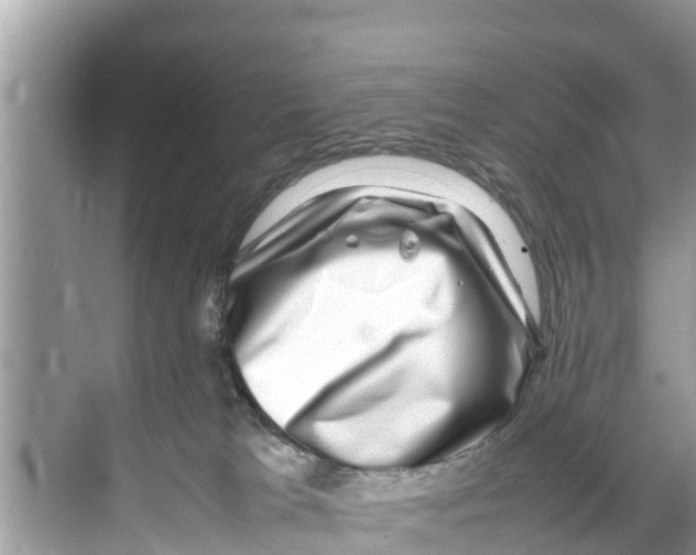 X0000070230037200606232208