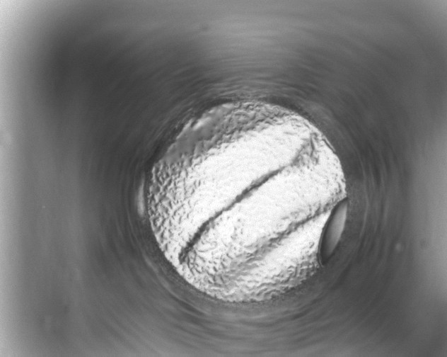 X0000070230046200606232208