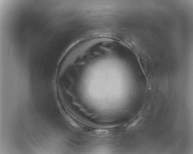 X0000070230052200606232207