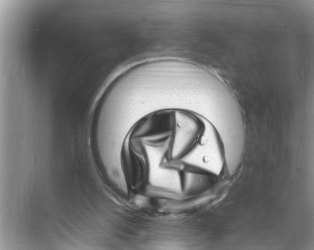 X0000070230056200606232207