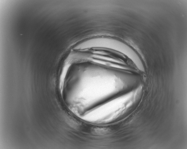 X0000070230063200606232208