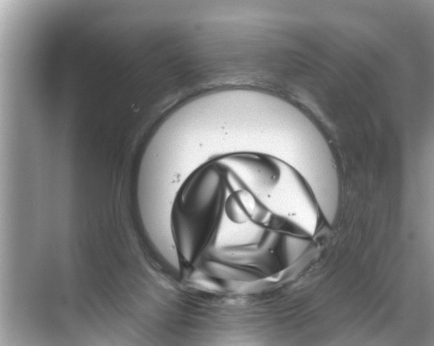 X0000070230068200606232208