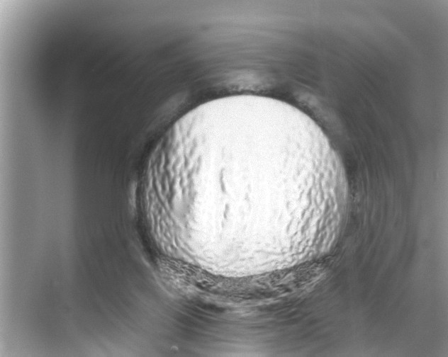 X0000070230070200606232208