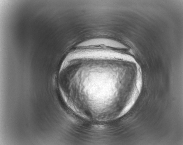 X0000070230071200606232208