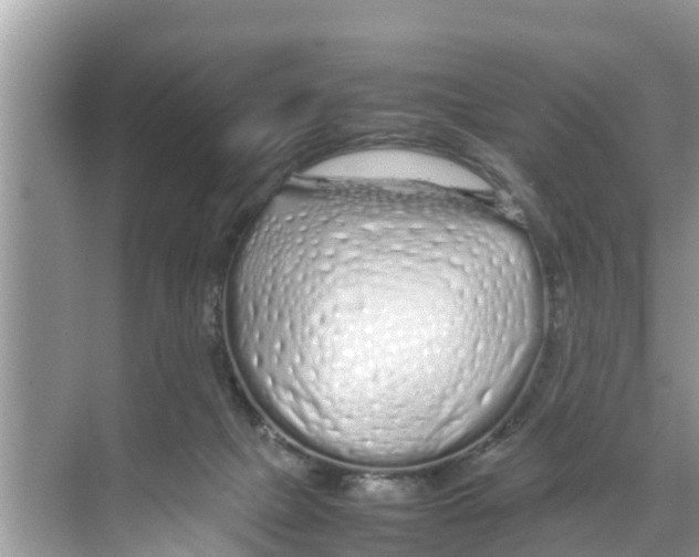 X0000070230073200606232208