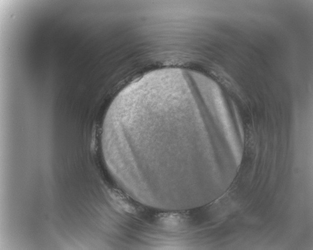 X0000070230074200606232208