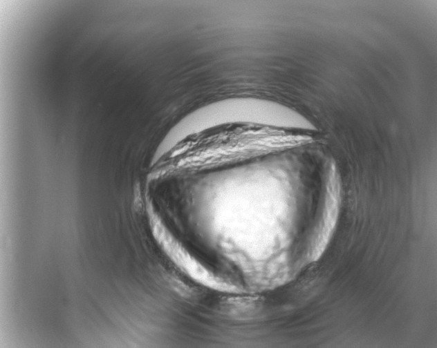 X0000070230089200606232208