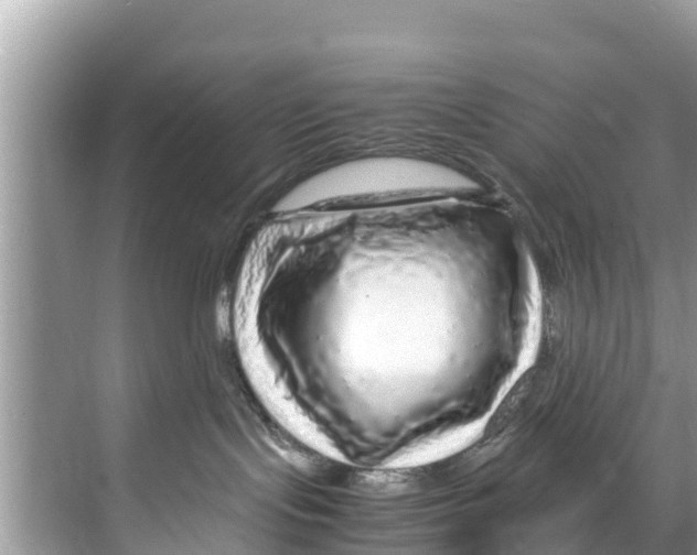 X0000070230095200606232208