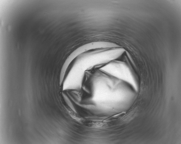 X0000070230096200606232208