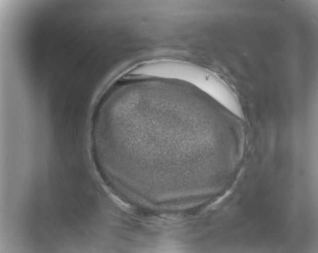 X0000070230101200606232207