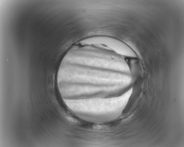 X0000070230109200606232207