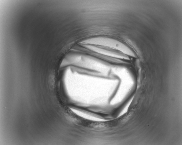 X0000070230113200606232207