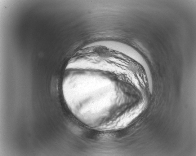 X0000070230115200606232207